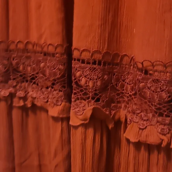 Forever 21 Elegant Garnet Lace Dress - Picture 5 of 6